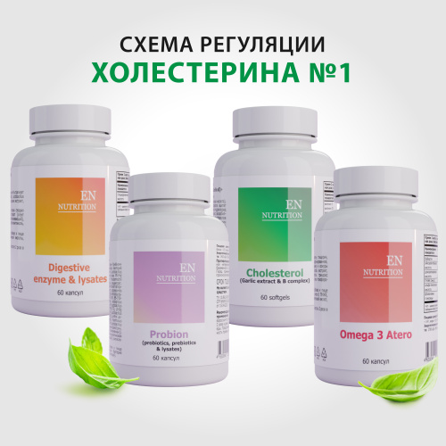 Схема регуляции холестерина 1