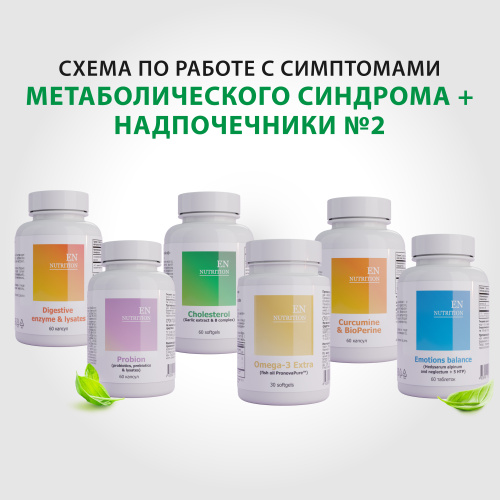 Схема по работе с симптомами метаболического синдрома+надпочечники 2