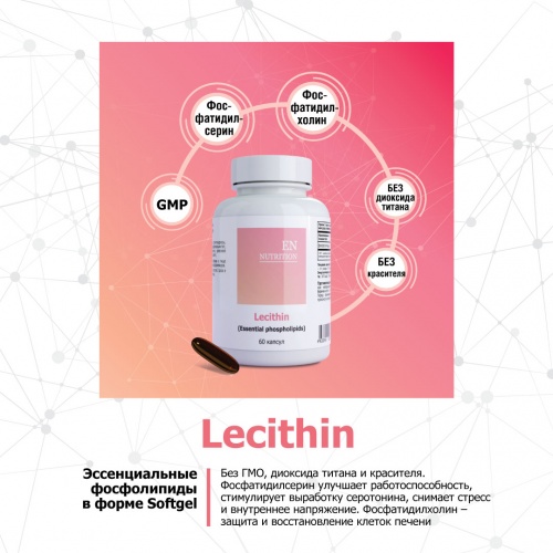 Lecithin (Essential phospholipids) фото 5